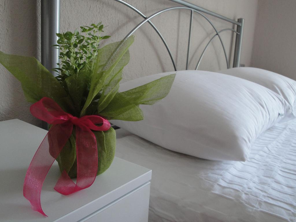 Amaryllis Studios アスプロヴァルタ 部屋 写真